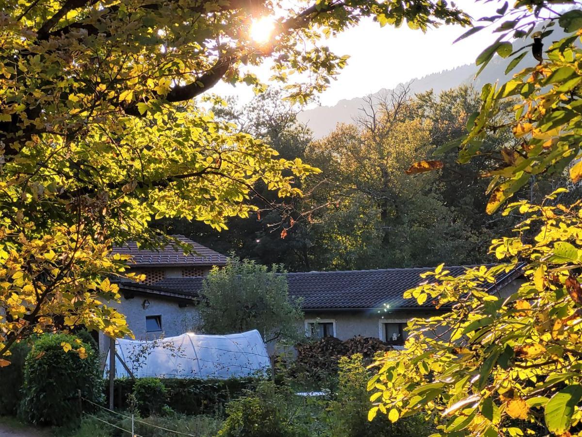 Casa Huerlimann Lägenhet Breno Exteriör bild